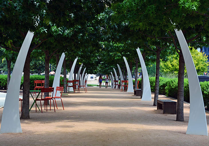 Discover the Best Parks in Dallas to Visit